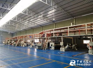 技改升級驅動高質發(fā)展——福建南平紙箱廠七層紙板線技改項目順利完成